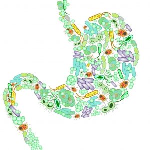la salute del nostro microbiota