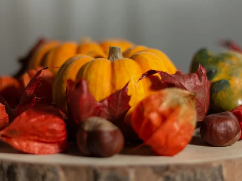 la dieta per l'autunno per dimagrire