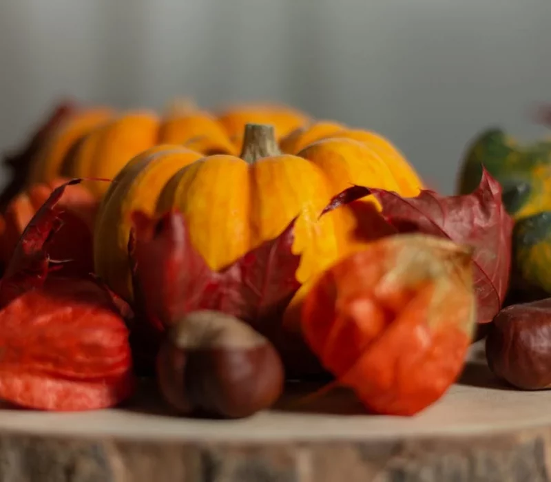 la dieta per l'autunno per dimagrire