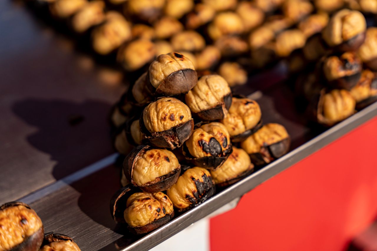 castagne a dieta